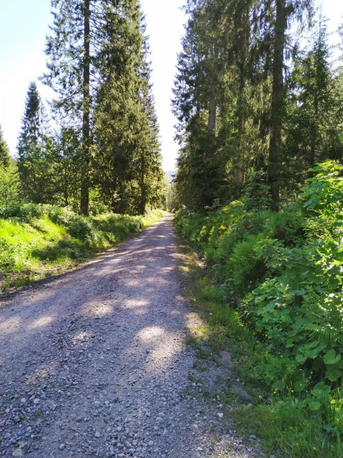 Ferienwohnung Feldberg - Residenz Grafenmatt Esterno foto