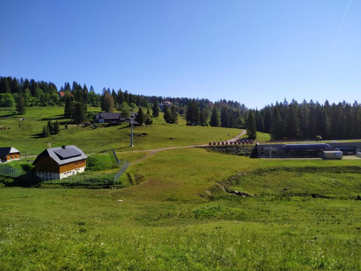 Ferienwohnung Feldberg - Residenz Grafenmatt Esterno foto