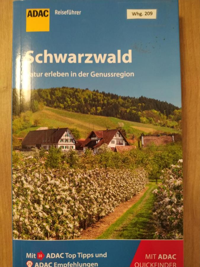 Ferienwohnung Feldberg - Residenz Grafenmatt Esterno foto