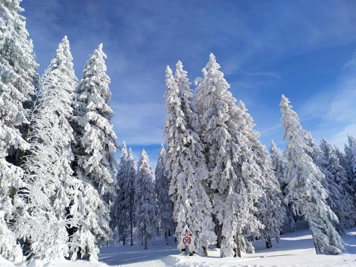Ferienwohnung Feldberg - Residenz Grafenmatt Esterno foto