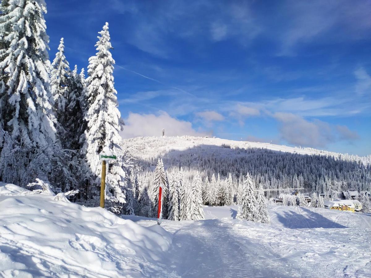 Ferienwohnung Feldberg - Residenz Grafenmatt Esterno foto