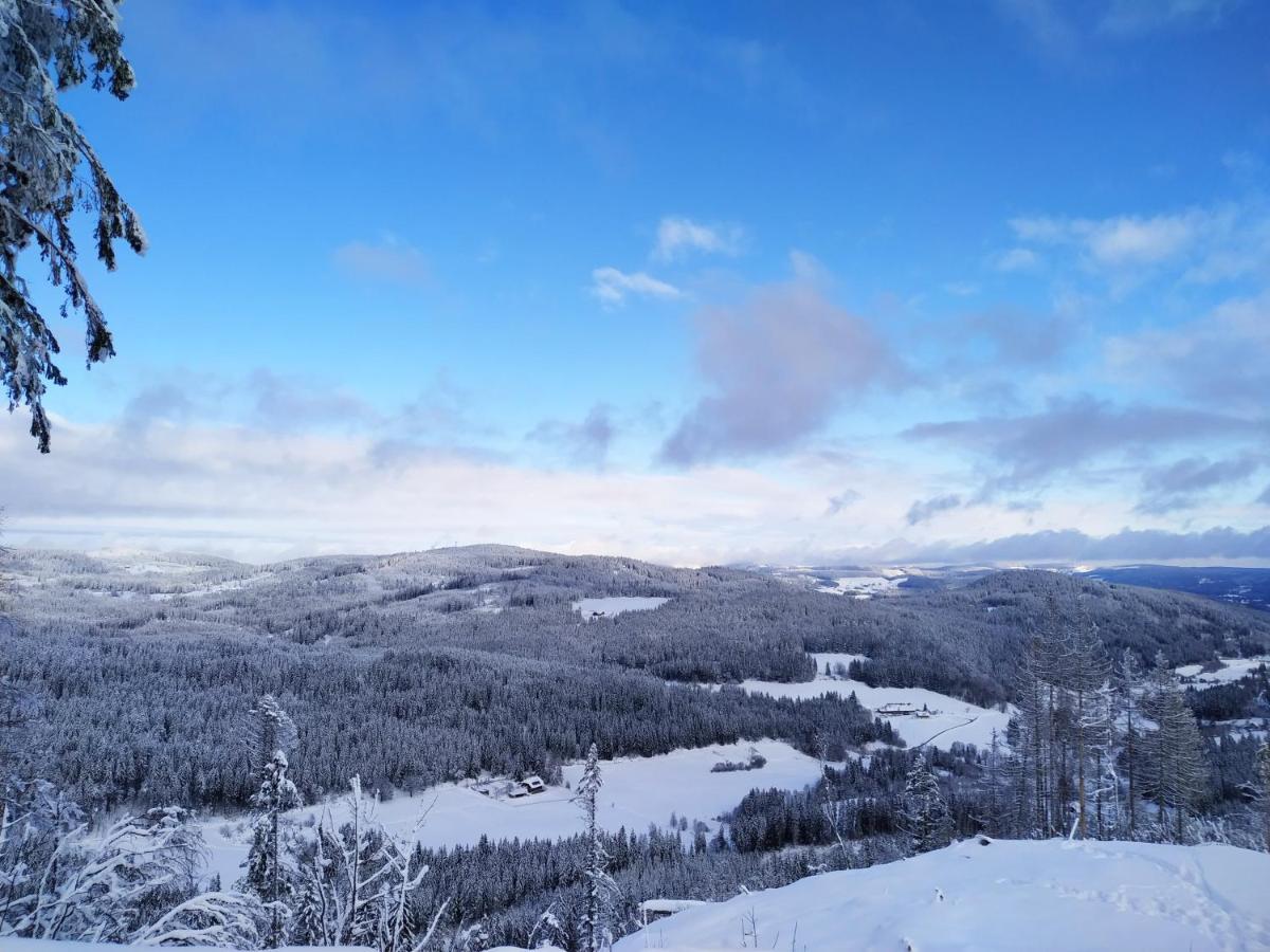 Ferienwohnung Feldberg - Residenz Grafenmatt Esterno foto