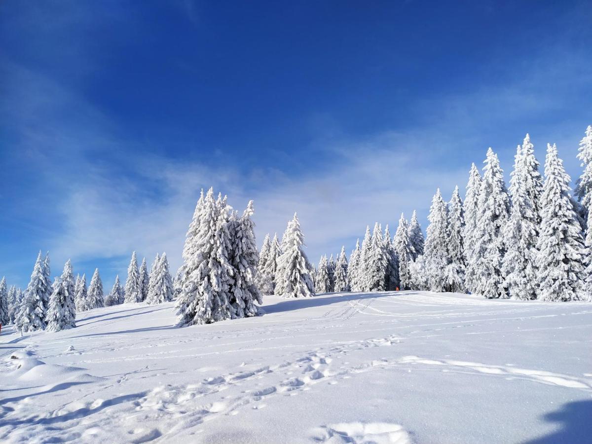 Ferienwohnung Feldberg - Residenz Grafenmatt Esterno foto
