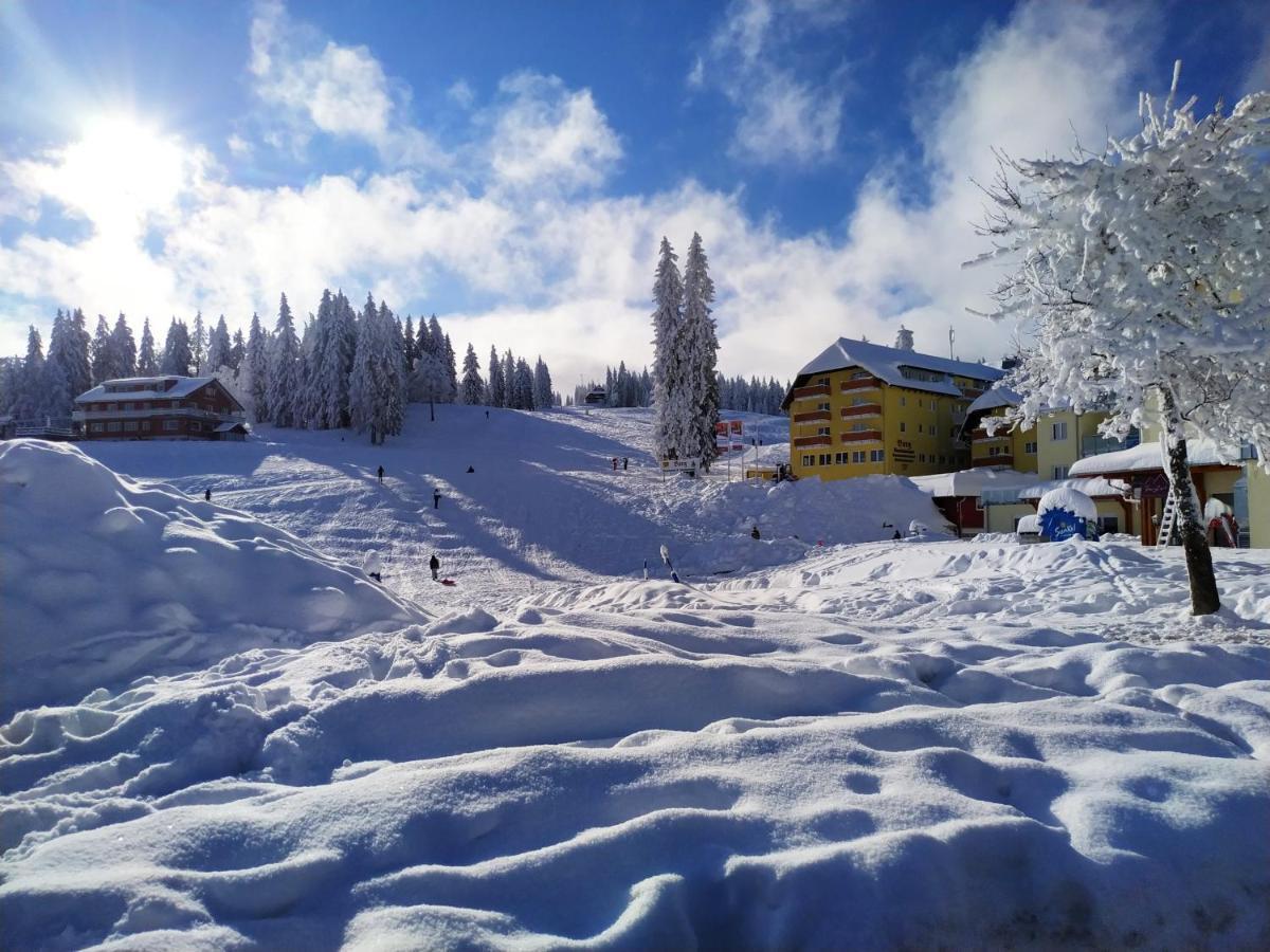 Ferienwohnung Feldberg - Residenz Grafenmatt Esterno foto